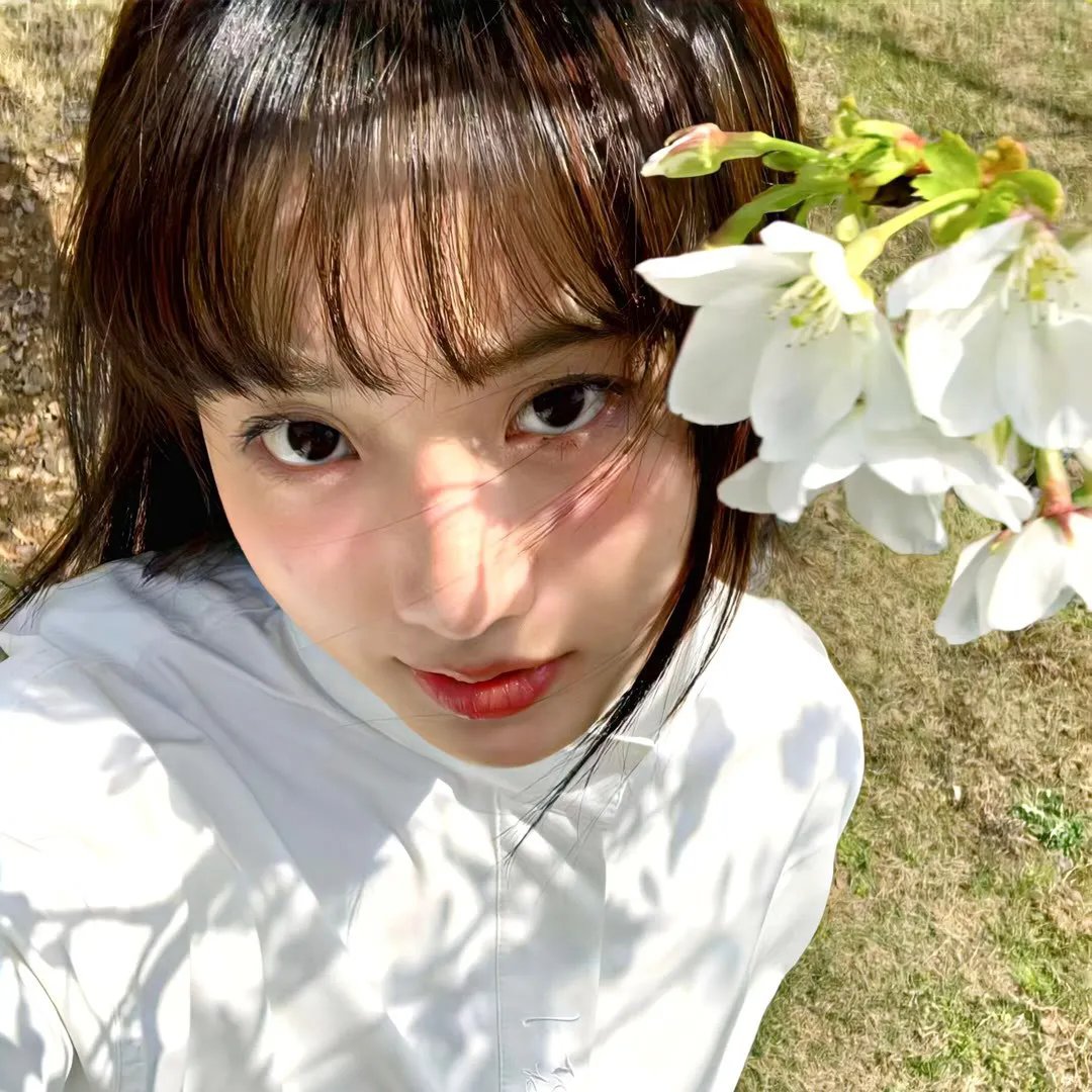 银都百美